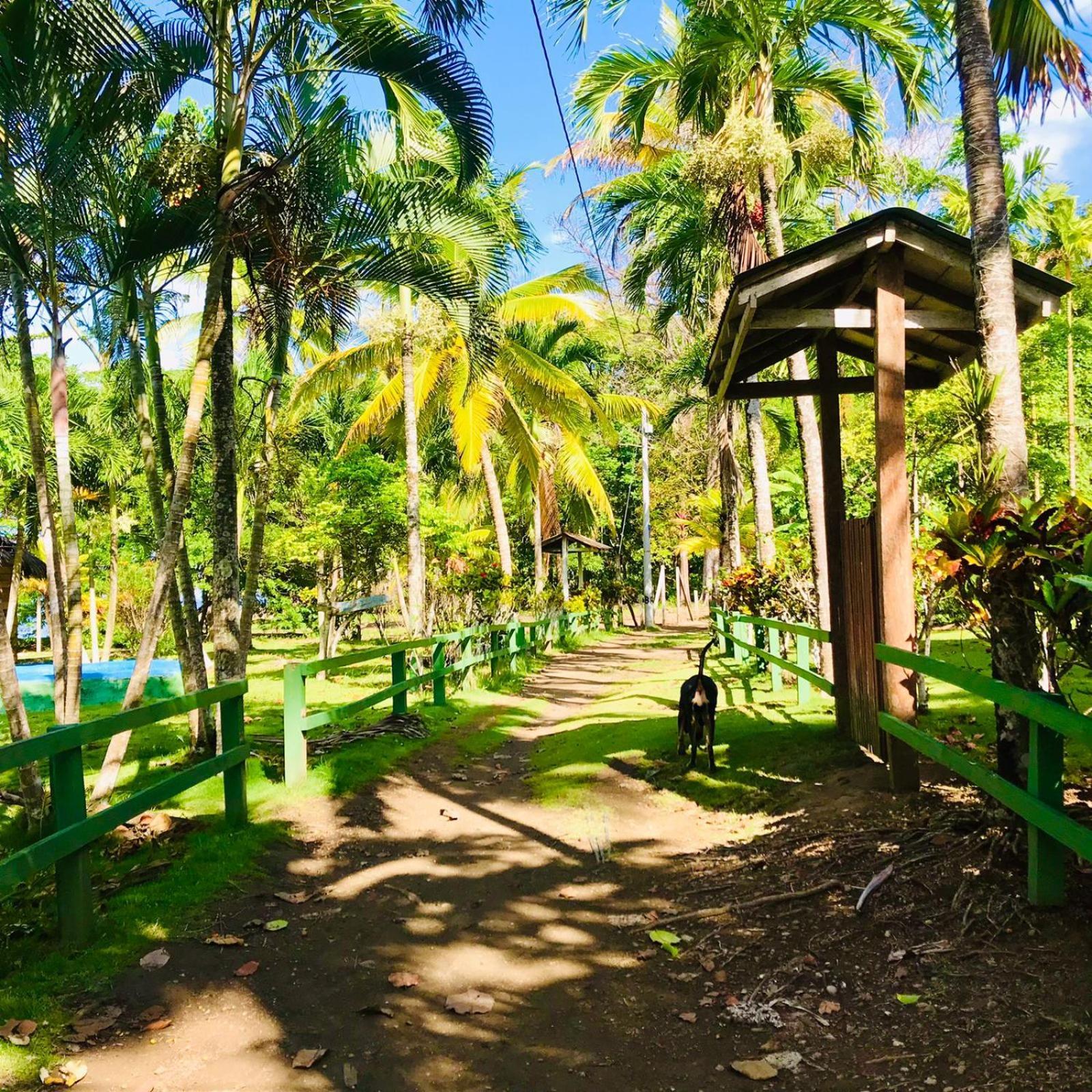 Hostal Doble Vista Capurgana Luaran gambar